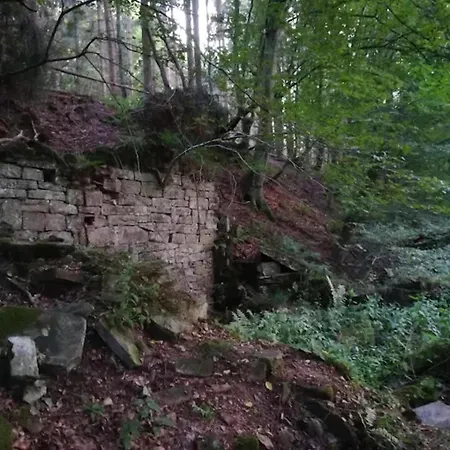 Ferienwohnung Mit Garten Auf Dem Bauernhof 公寓
