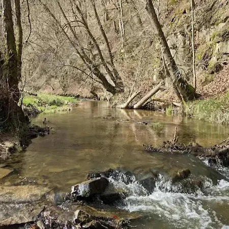 Lovely In Friedrichsfeld With Garden Tatil Evi