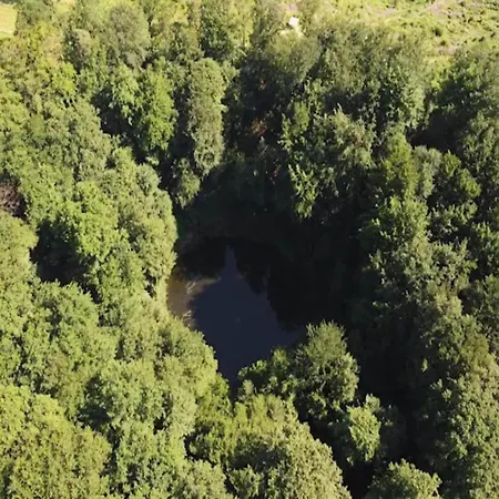 Tatil Evi Lovely In Friedrichsfeld With Garden *