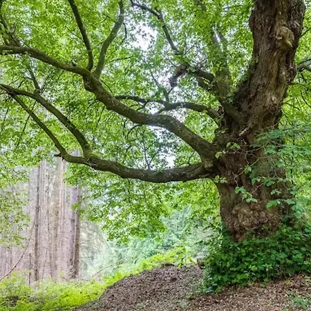 Ferienwohnung Mit Garten Auf Dem Bauernhof
