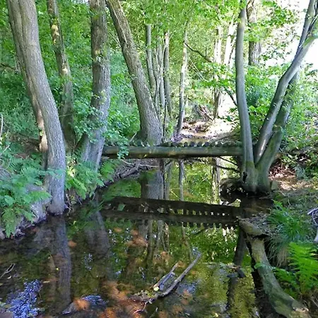 Lovely In Friedrichsfeld With Garden Tatil Evi