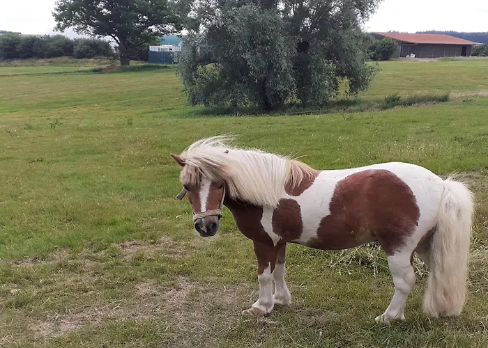 بيت للعطل Lovely In Friedrichsfeld With Garden Trendelburg