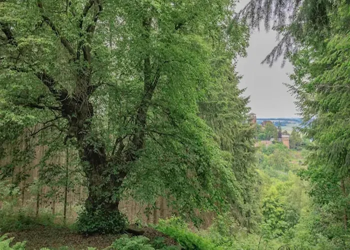 بيت للعطل Lovely In Friedrichsfeld With Garden *